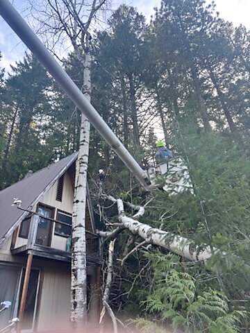 Hazard & Storm Tree Removal