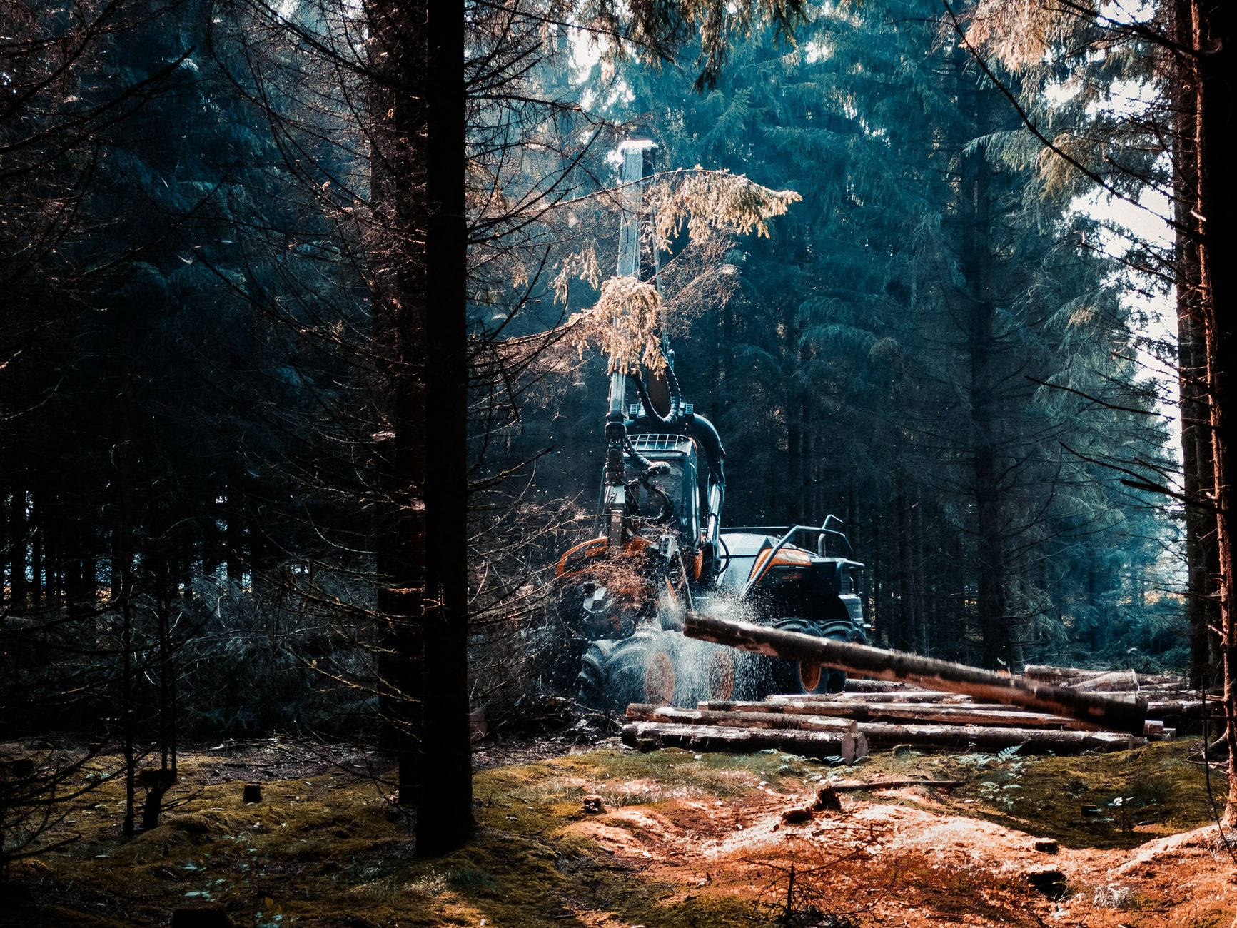 Land cleared & site-prepped
